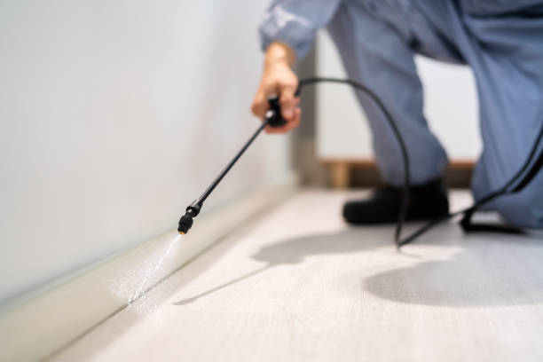 Licensed Termite Control service in Sandston, VA - Nex Pest Control