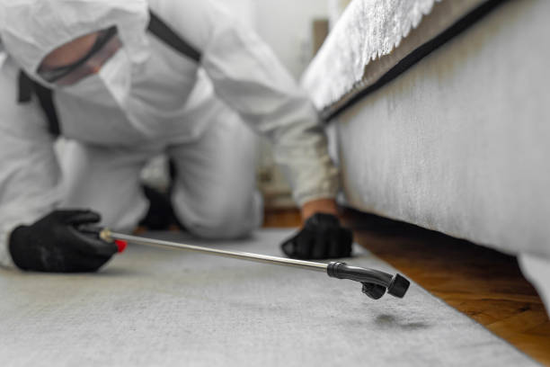 Professional Termite Control technician working in Sandston, VA