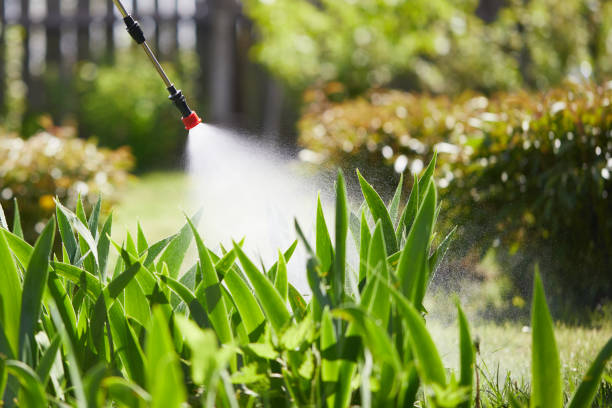 24/7 Emergency Termite Control experts in Sandston, VA
