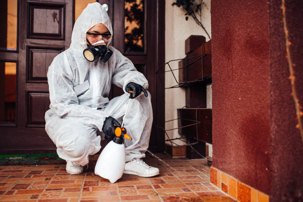 Reliable Termite Control contractor in Sandston, VA by Nex Pest Control