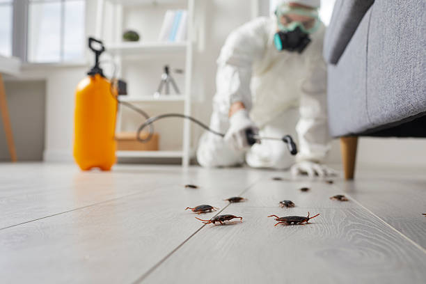 Affordable Termite Control solutions in Sandston, VA